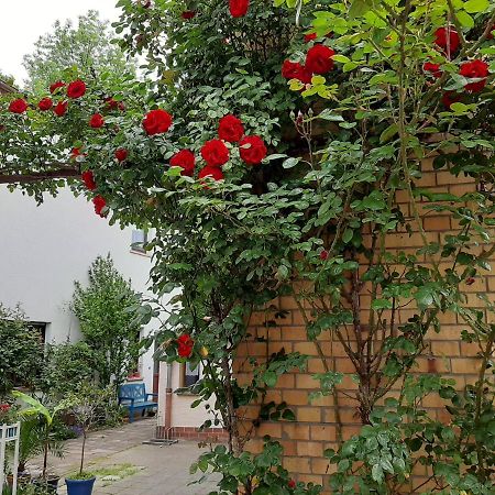 Fewo Rosenbluete Am Stadtpark Wittenberg Luaran gambar