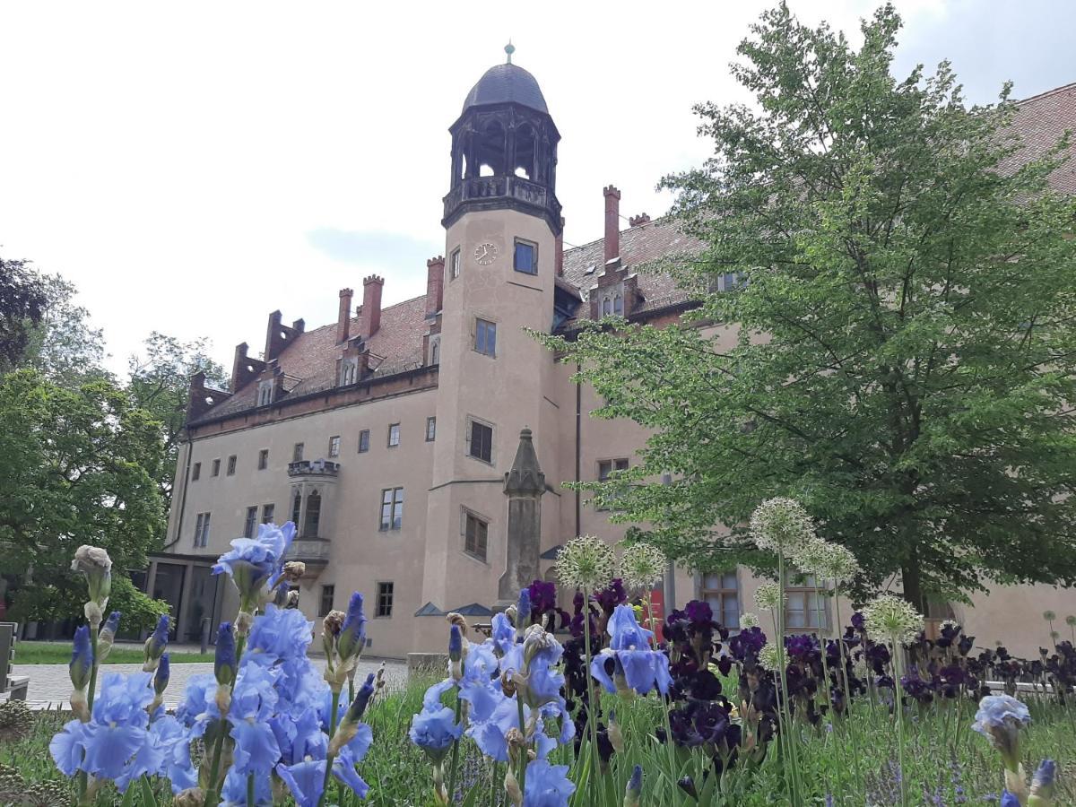 Fewo Rosenbluete Am Stadtpark Wittenberg Luaran gambar